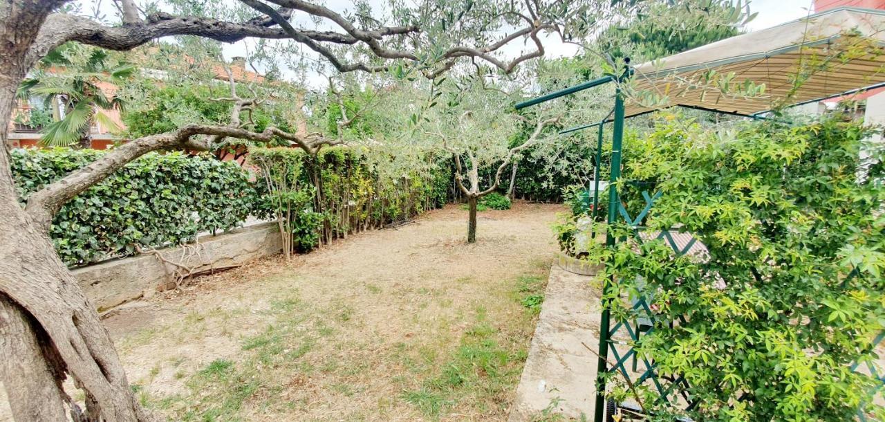 Cecillia Mare Apartments ロヴィニ エクステリア 写真