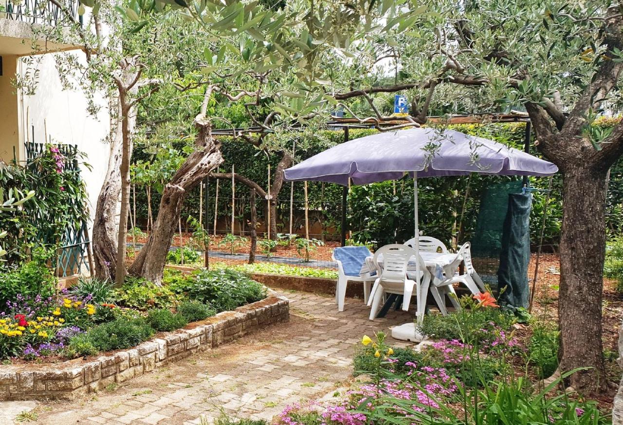 Cecillia Mare Apartments ロヴィニ エクステリア 写真